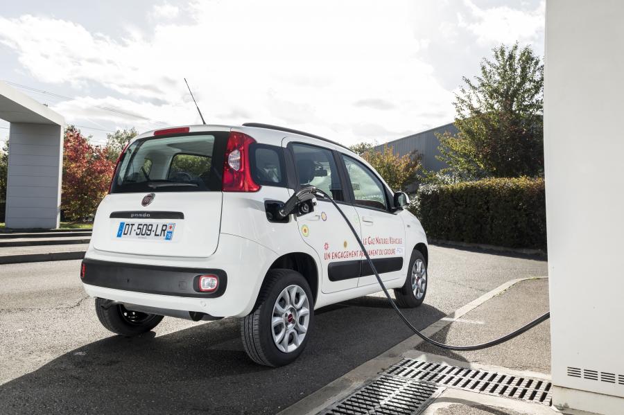  Fiat Panda Natural Power (319) 2012 года  (фото 20 из 38)